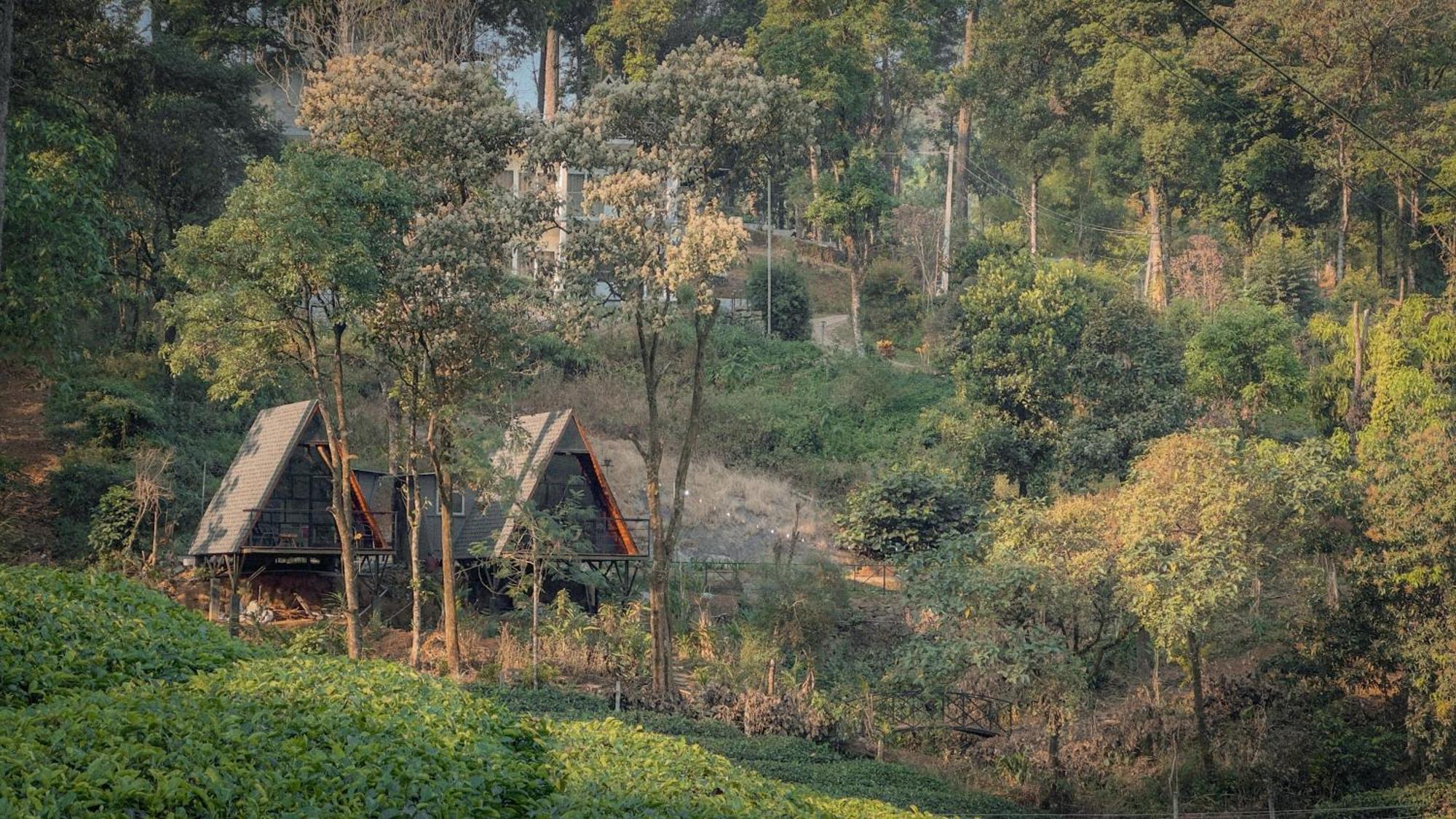 Forestscape Resort Munnar