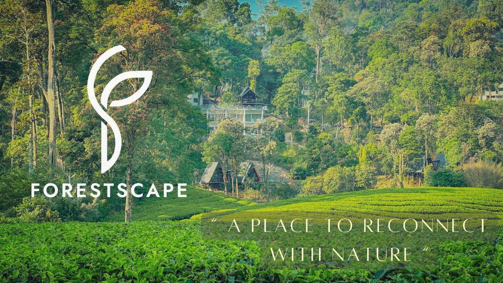 Forestscape Resort Munnar